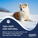 Musher's Secret Paw Balm – Protective, Moisturizing Wax for Dogs’ Paws (60g / 2.1 oz)