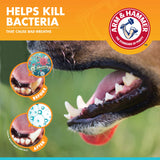 Arm & Hammer Fresh Breath Dog Dental Kit – Toothpaste, Toothbrush & Fingerbrush (2.5 oz)