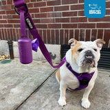 Best Pet Supplies Dog Poop Bag Holder Leash Attachment with 30 Bags, Reusable Dispenser for Travel, Walking, Park, and Outdoor Use, Durable with Clip-On - Black, Pack of 2
